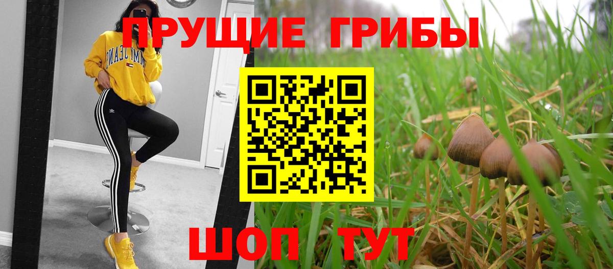 Нижний Новгород  Галлюциногенные грибы мицелий  Вход с VPN 